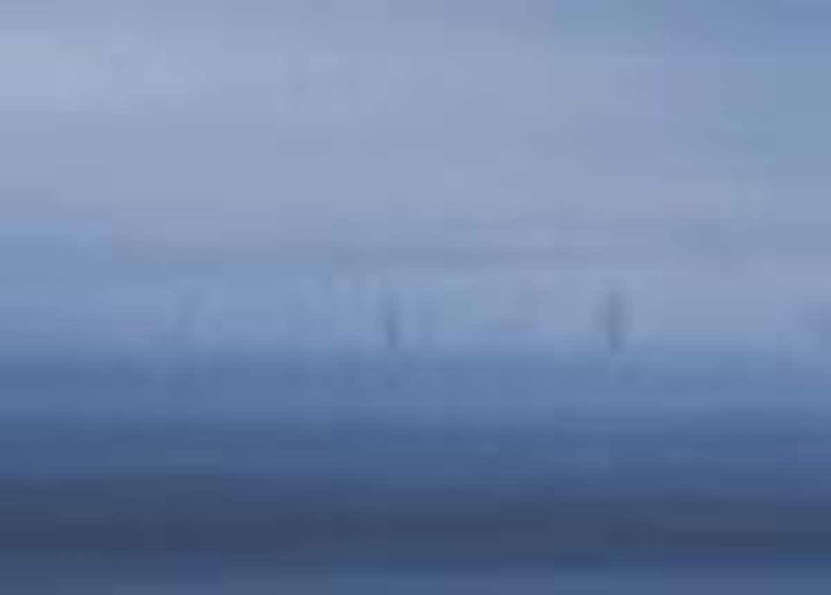 Canada Gets $175M for Massive Wind Farm in Nova Scotia - Image 3