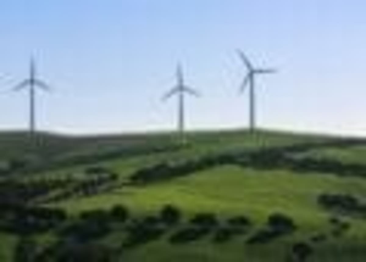 Seals Turn North Sea Wind Farms Into Hunting Grounds - Image 2
