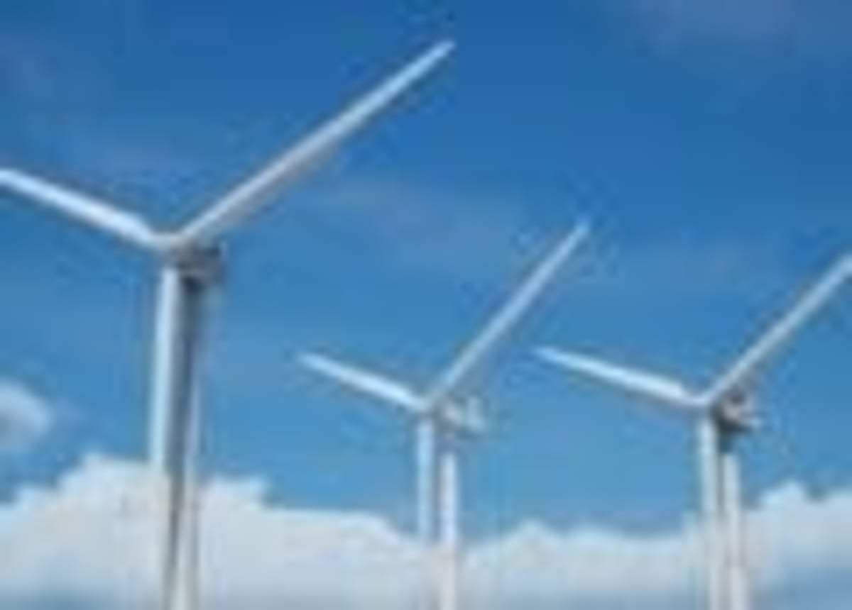 Danish Ducks Dodge Wind Turbines Using Night Flight Trick - Image 3