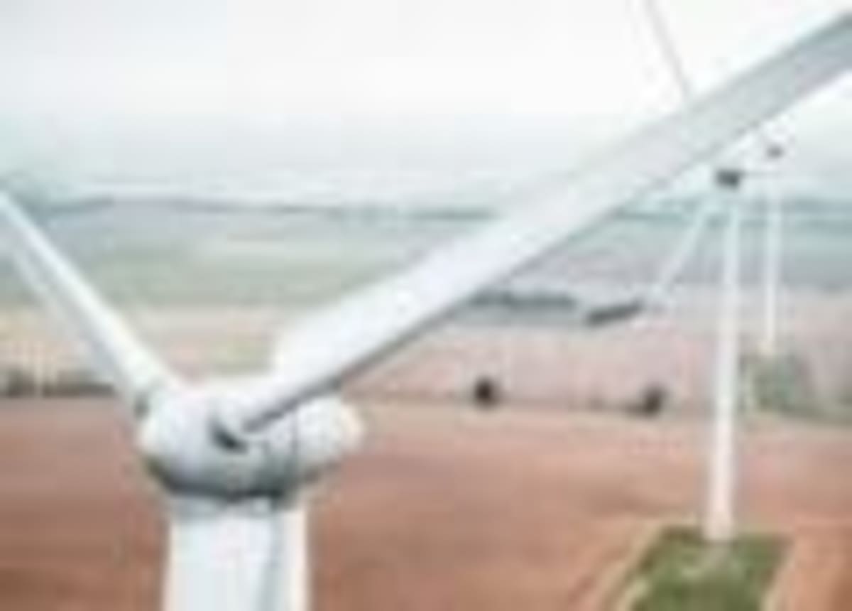Seals Turn North Sea Wind Farms Into Hunting Grounds - Image 3
