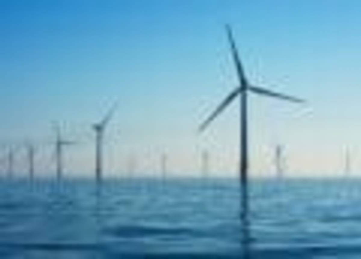 60,000 Seabirds Turn Belgian Wind Farm Into Feeding Haven - Image 2