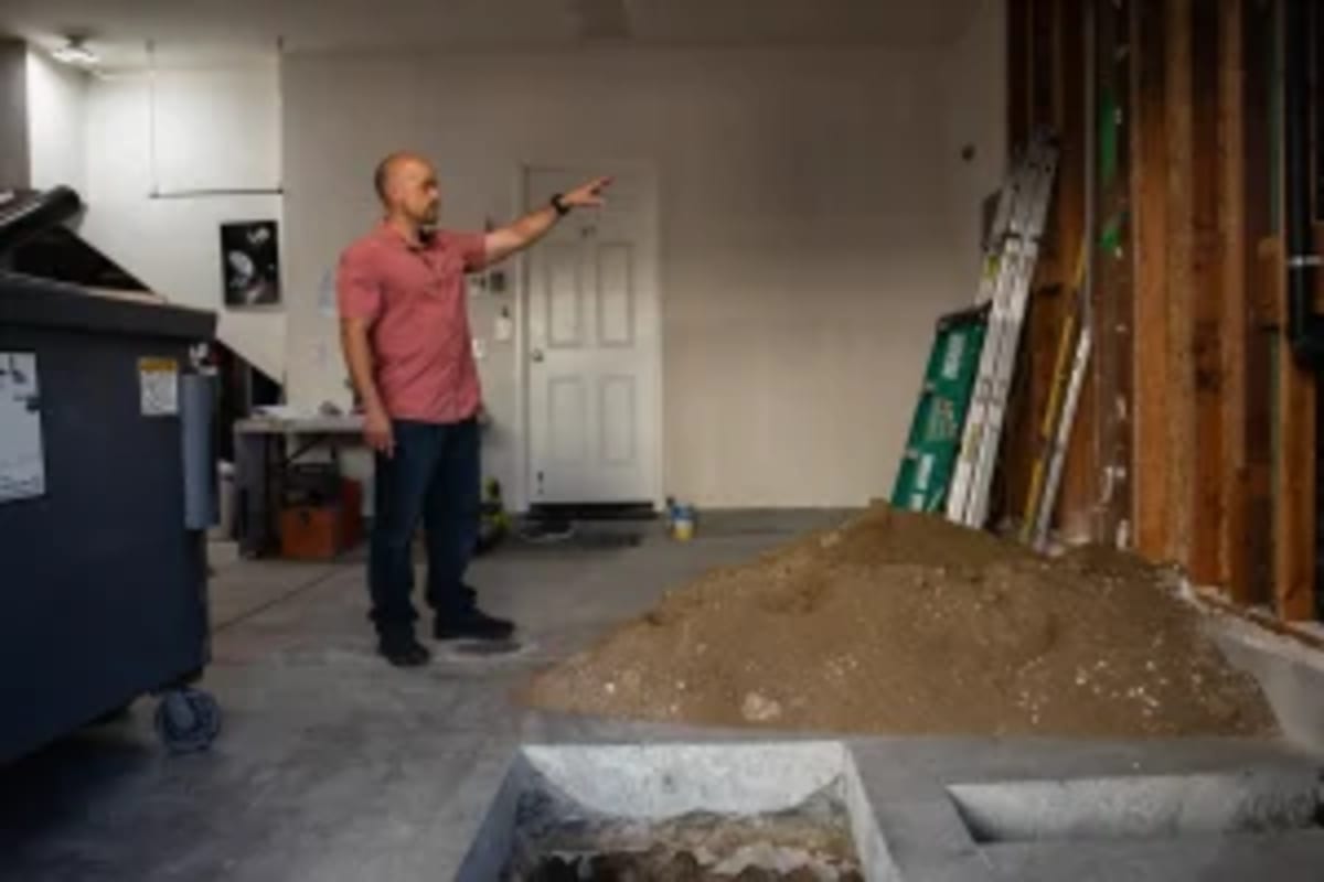 787 Ships Slash Whale Deaths 40% Off California Coast - Image 3