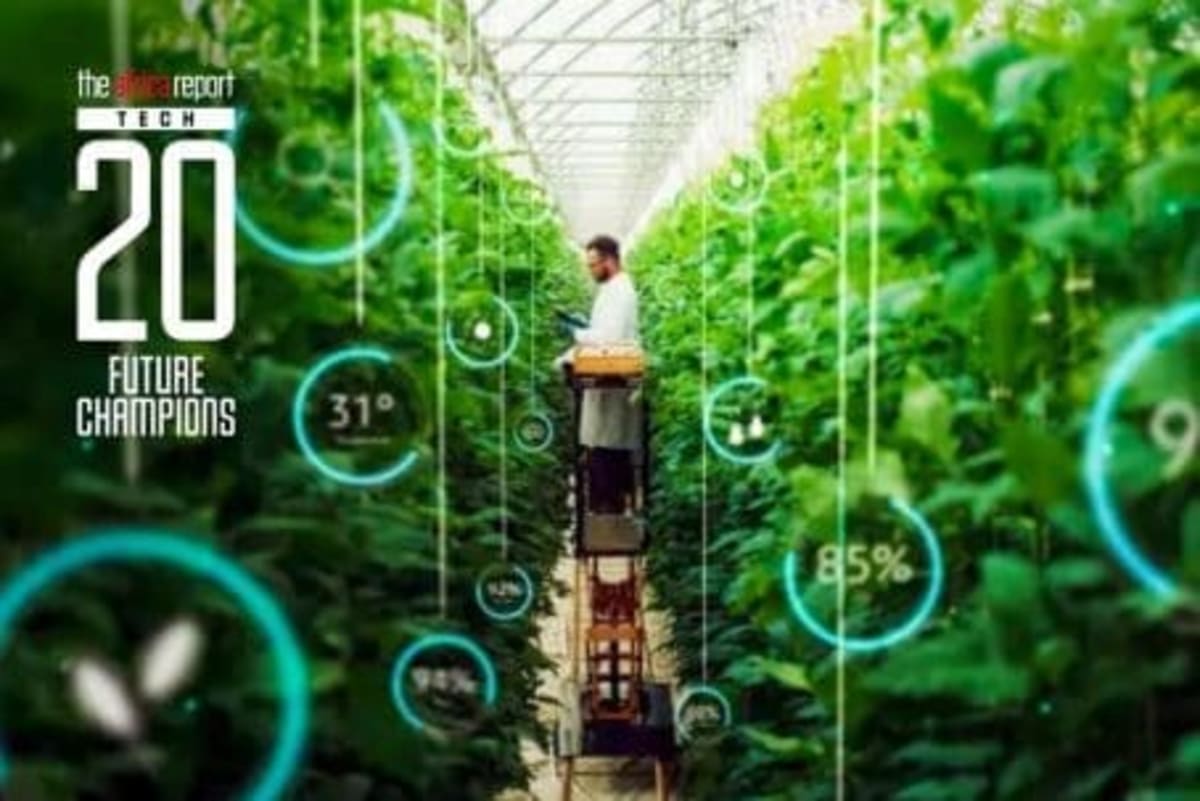 20 African Tech Startups Named 2026 Future Champions