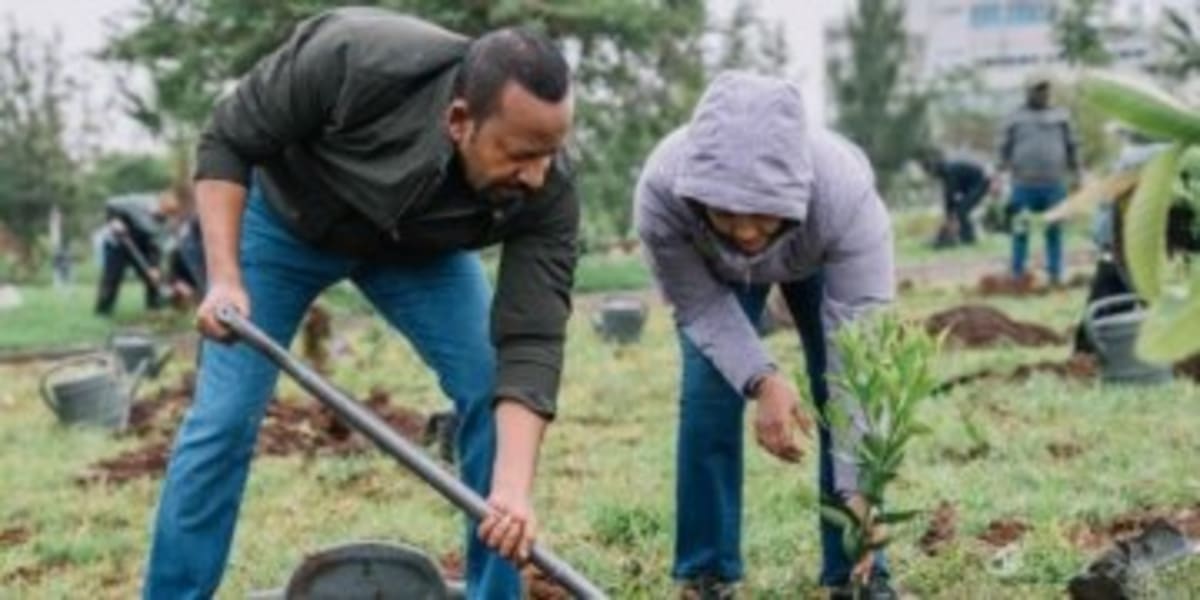 Ethiopia Launches 8th Green Legacy Tree-Planting Campaign - Image 3