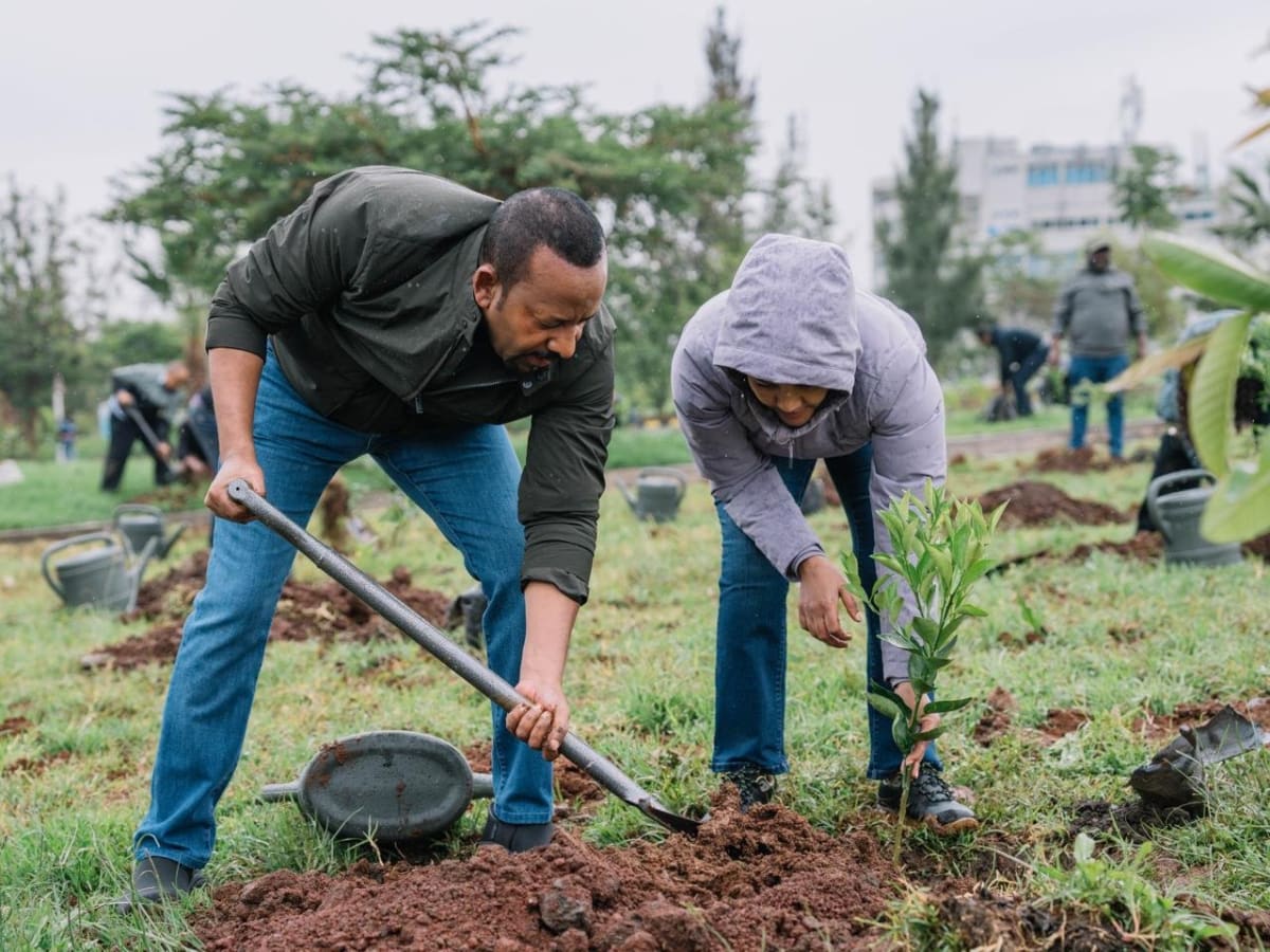 Ethiopian community members planting tree seedlings during Green Legacy campaign in restored landscape