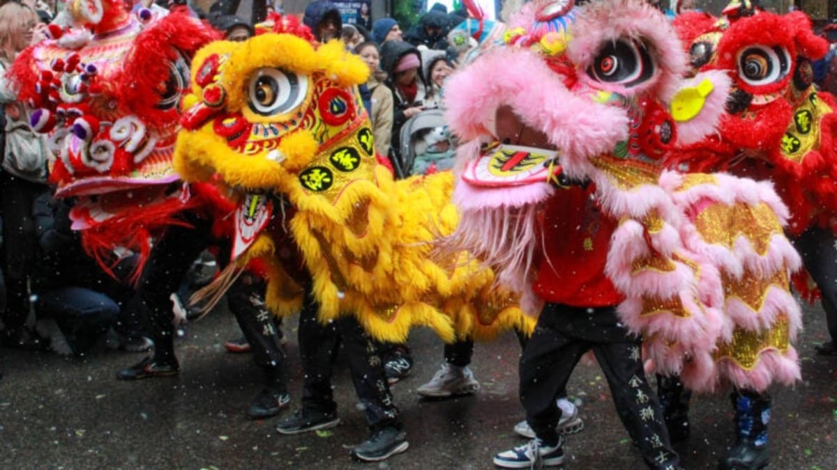 Tiny Owl Rescued in Massachusetts Gets Second Chance - Image 2