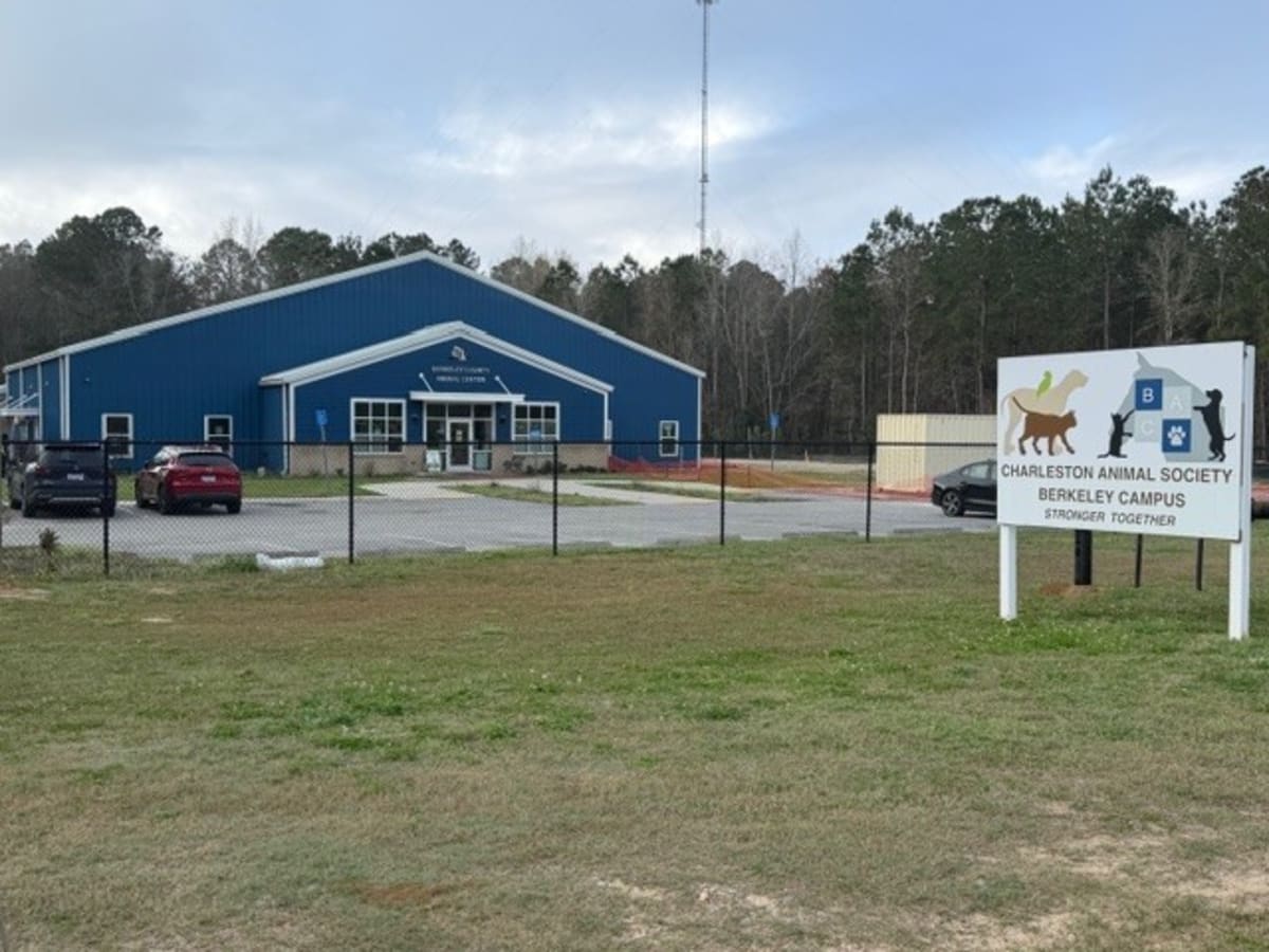 Happy dogs and cats at Berkeley County Animal Shelter in South Carolina awaiting adoption