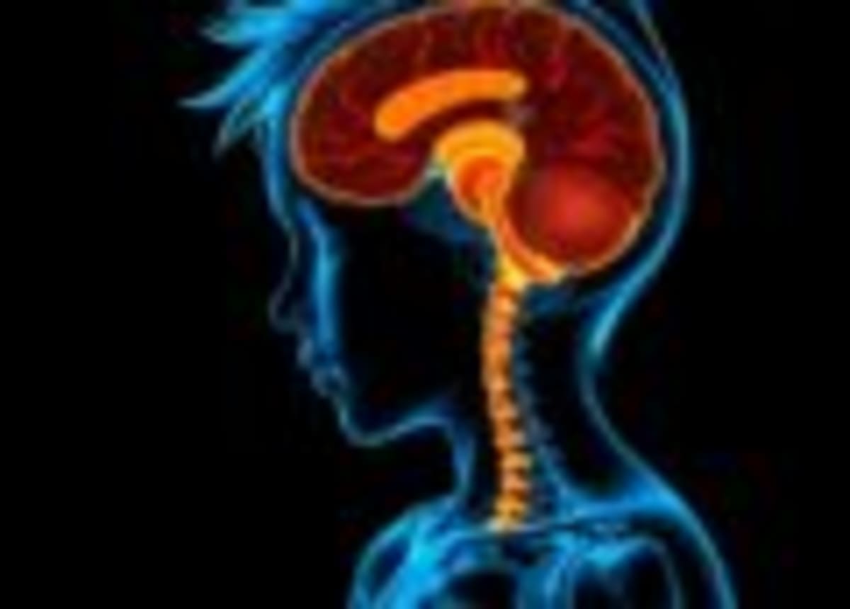 Marshall University's Brain Surgery Tool Boosts Precision - Image 2