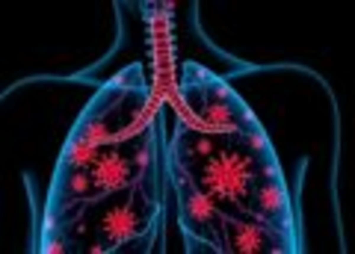 Modified Biochar Captures 290mg Phosphorus Per Gram - Image 3