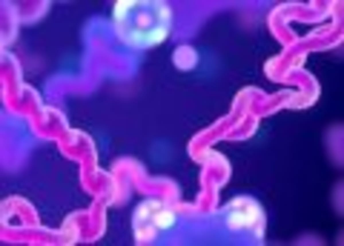 Scientists Use Light to Create Clean Energy Materials - Image 2