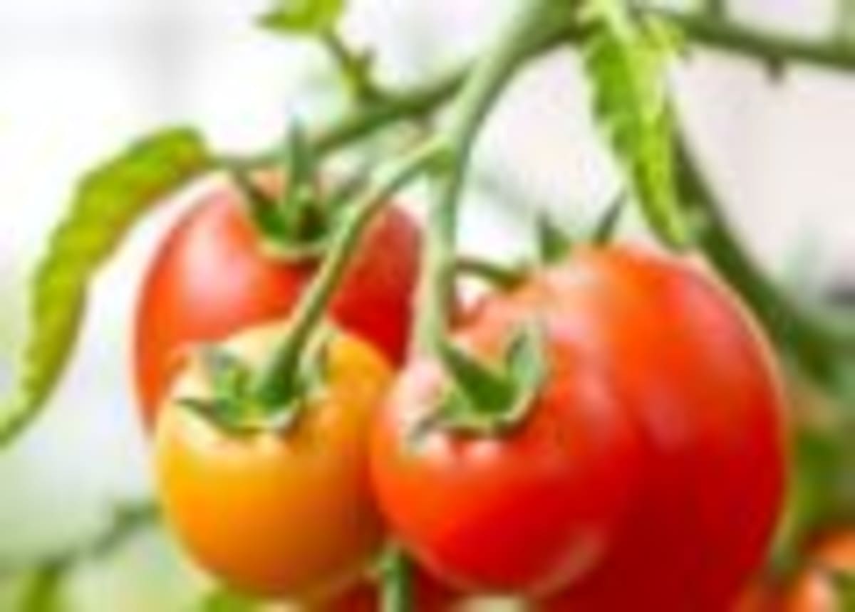 New Sulfur Polymer Fights Superbugs Without Harming Cells - Image 2