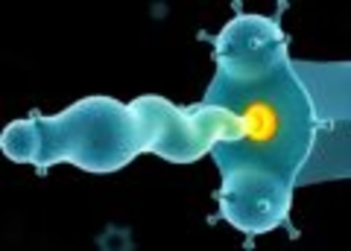 Fish-Inspired Robots Promise Agile Underwater Rescue - Image 2