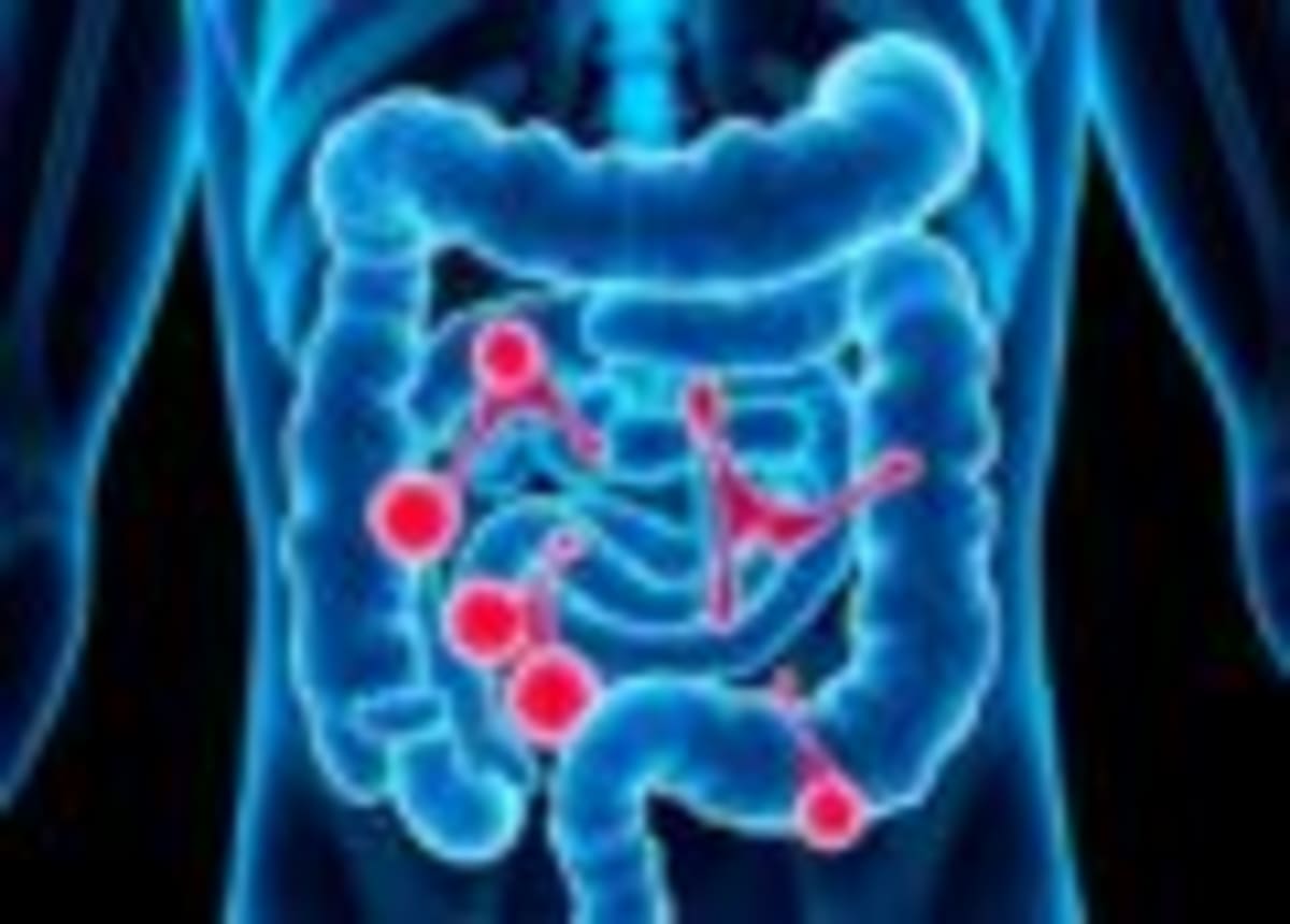 Fish-Inspired Robots Promise Agile Underwater Rescue - Image 3