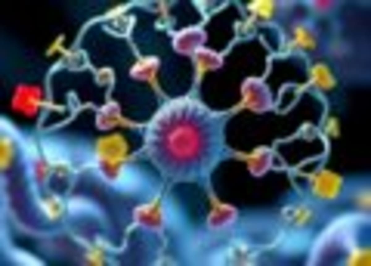 HIV Vaccine Shows 14-Year Breakthrough in Primate Trials - Image 3