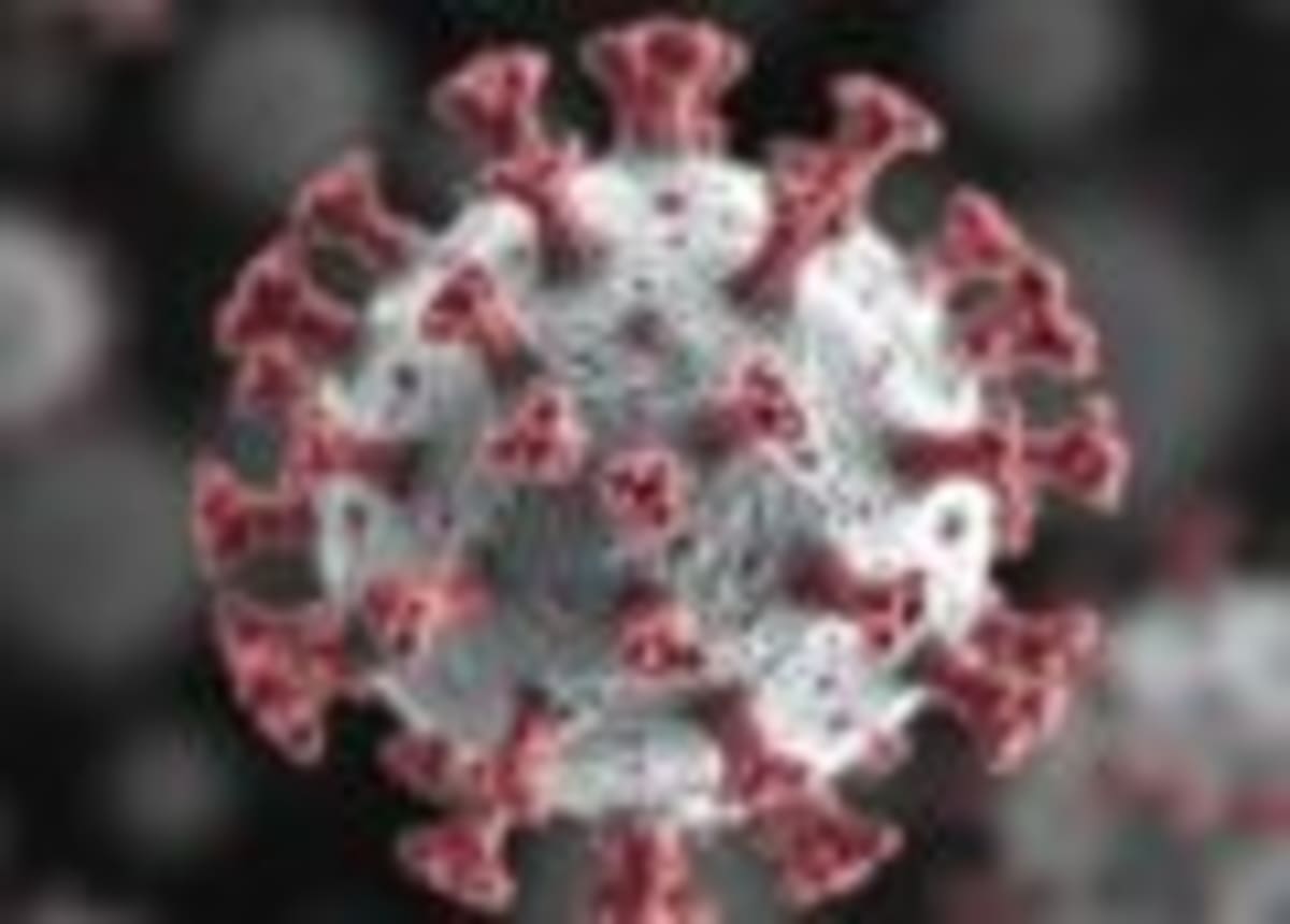 Scientists Propose Uniting Human Ancestors Under One Genus - Image 3