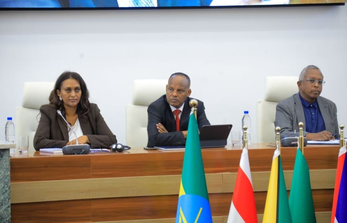 Ethiopia Secures $264M in Low-Cost Loans for Jobs, Energy