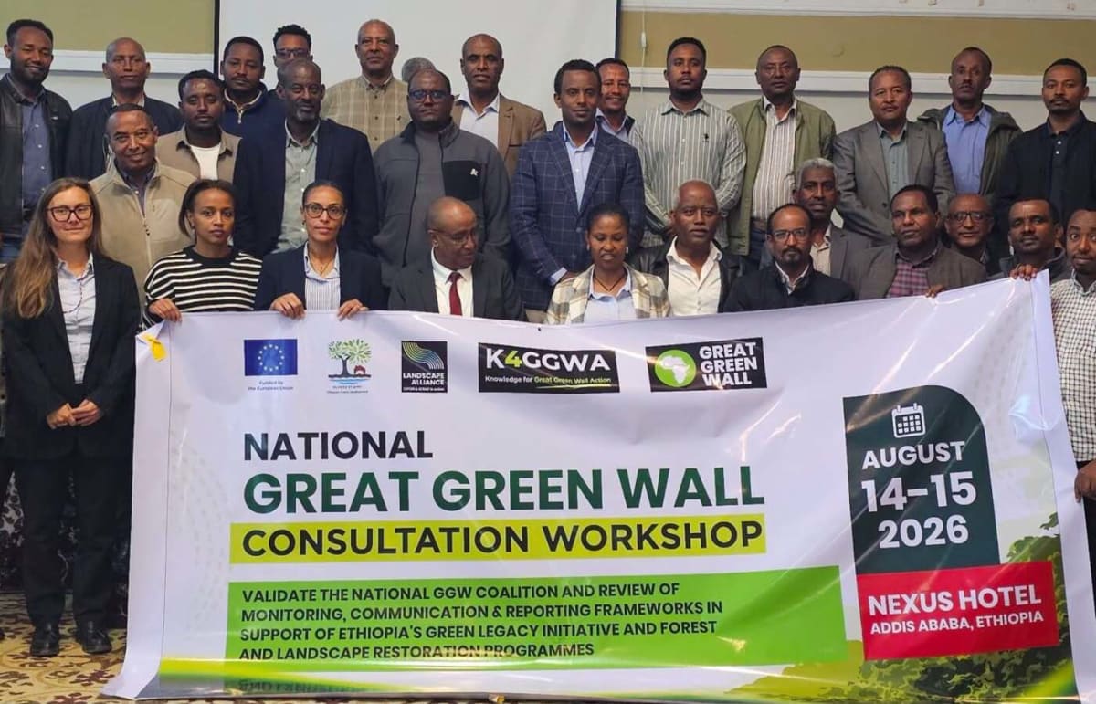 Ethiopian workers planting trees in dryland region as part of Great Green Wall Initiative