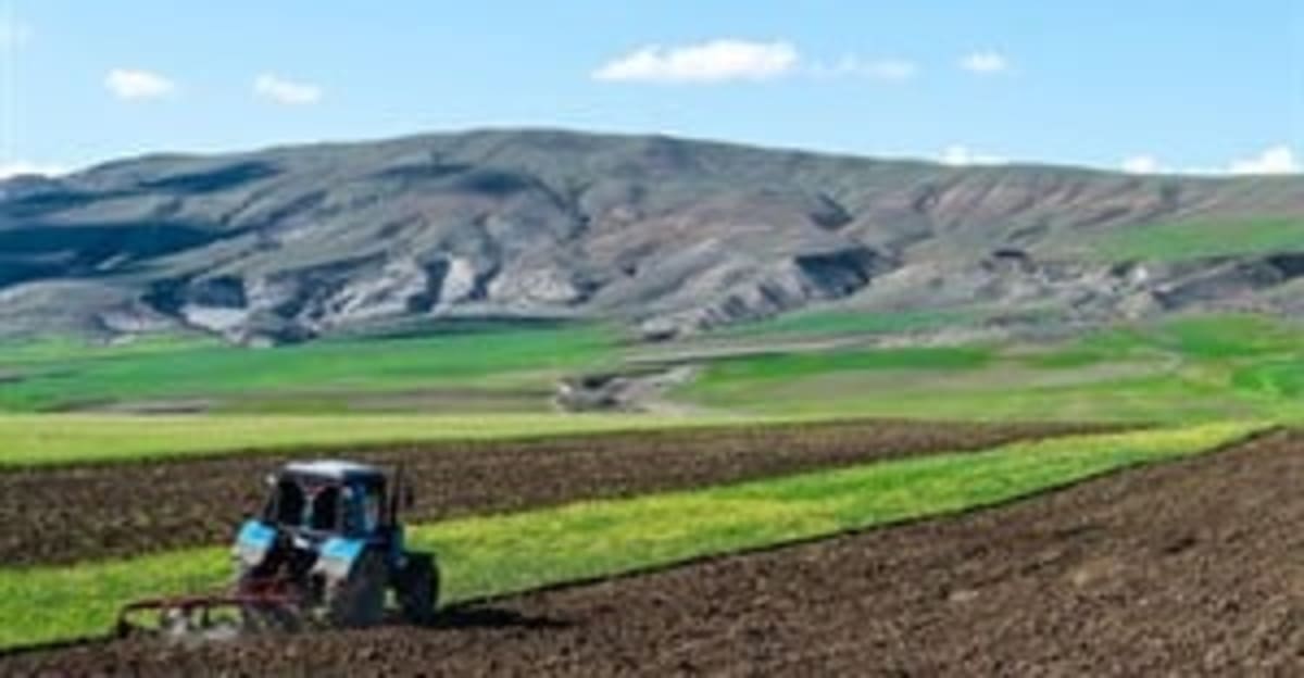South Africa's Potato Farmers Lead with Smart Innovation - Image 5