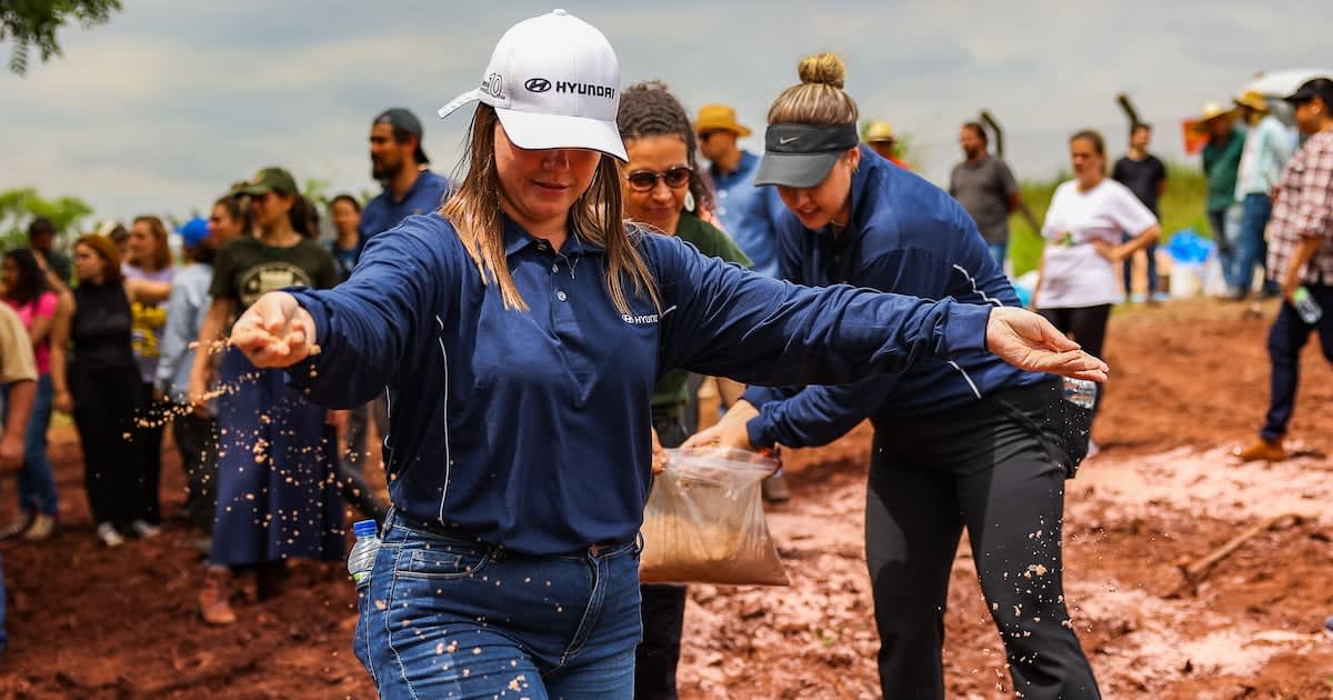 Hyundai Plants 100,000 Trees and Brings Dental Care to Brazil