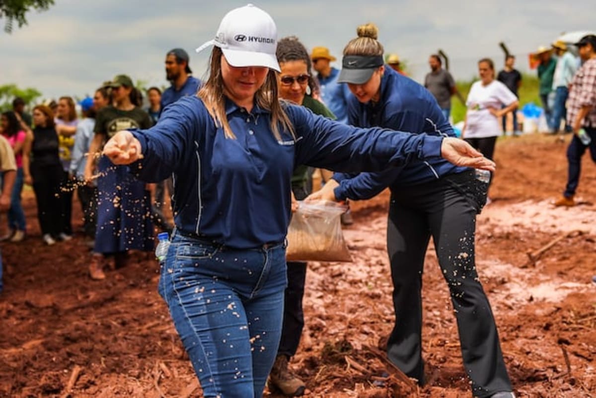 Hyundai Plants 100,000 Trees and Brings Dental Care to Brazil - Image 2