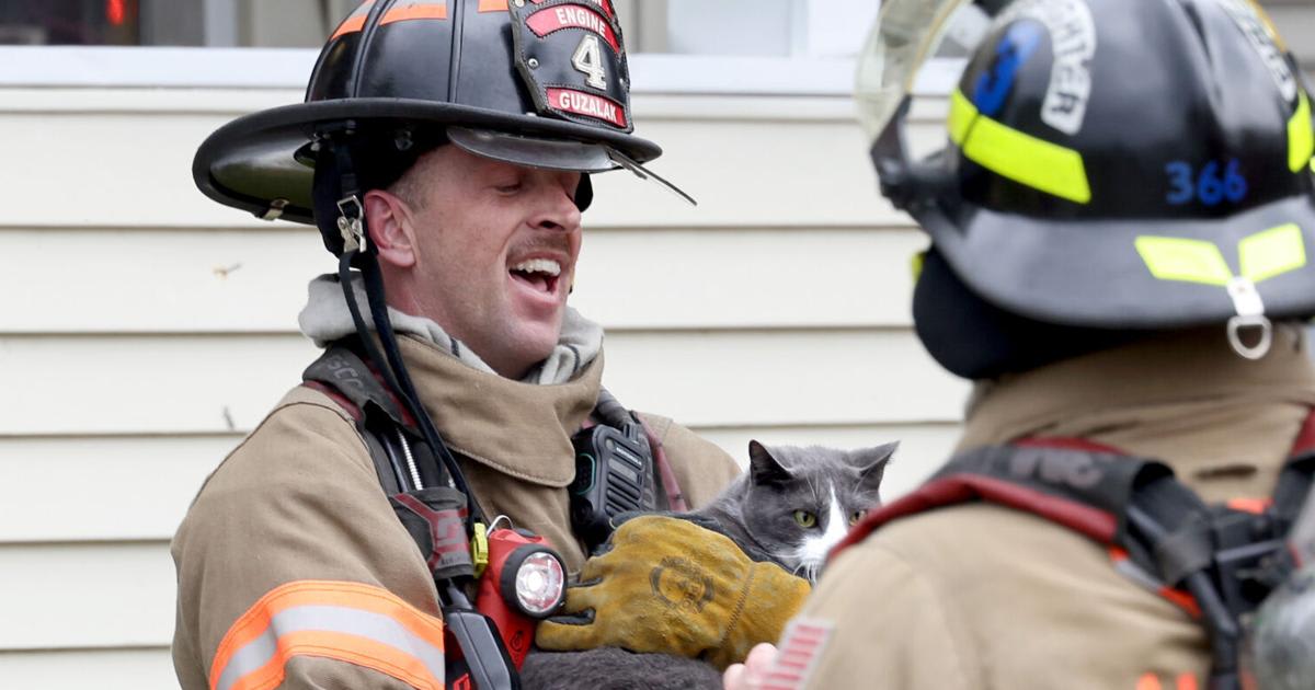 Auburn firefighter reunites relieved owner Jacob Akins with his rescued cat Hallow