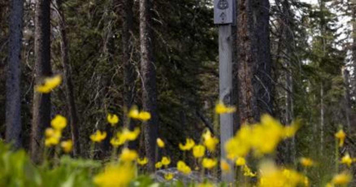 Montana Volunteers Honor Local Hero With Trail Cleanup - Image 2