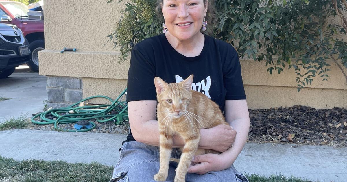 Mike Traum holding two tiny premature rescue kittens being bottle-fed at home