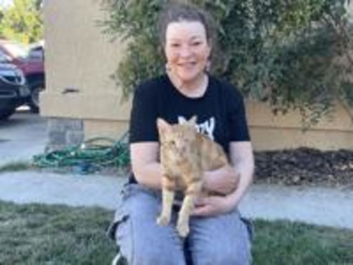 Dixon Couple Saves 730+ Cats From Their Living Room - Image 5