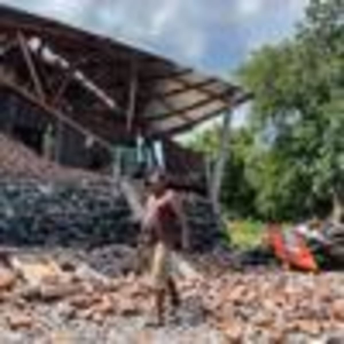 Firefighters Save 3 Fox Cubs Trapped Between Walls - Image 3