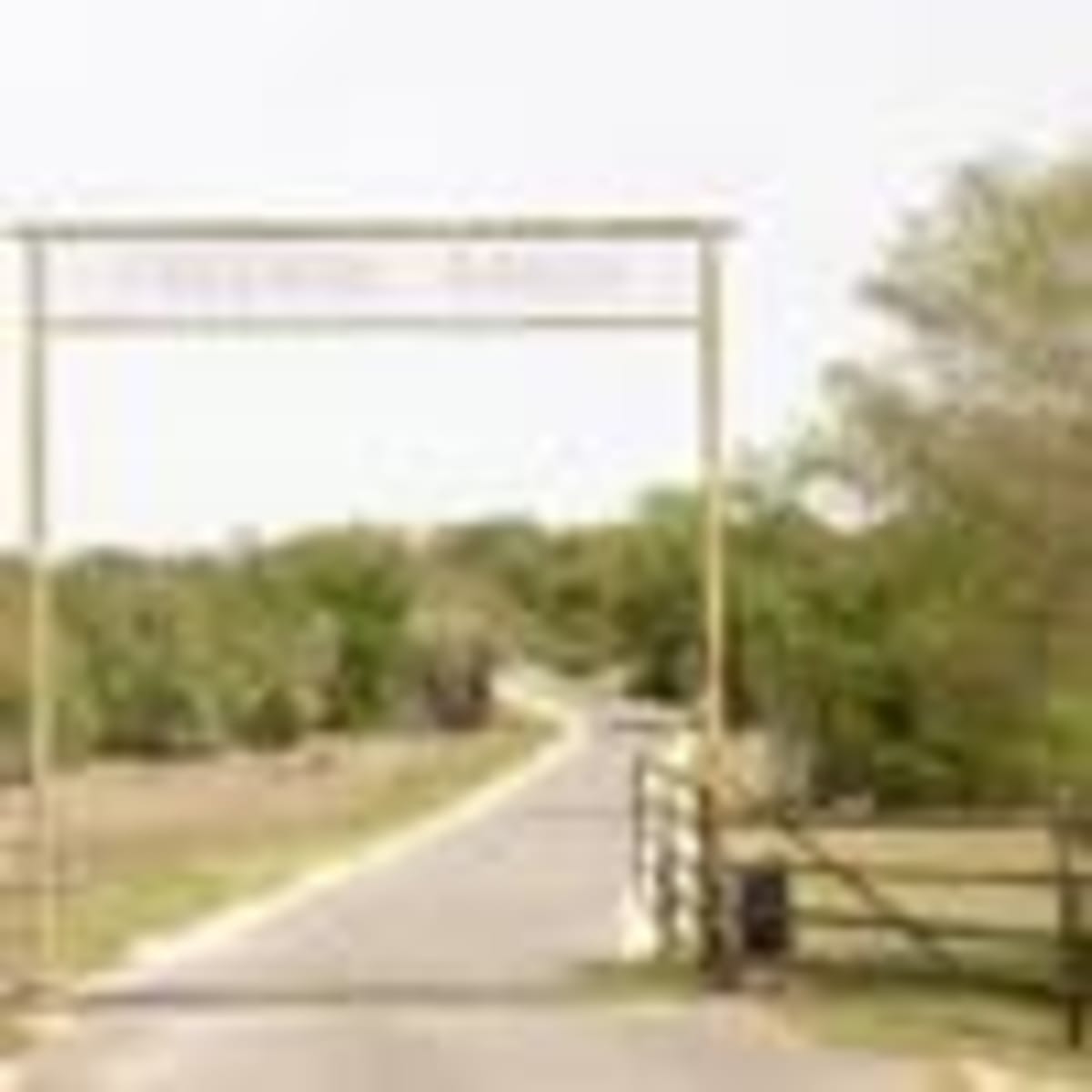 Texas Town Throws Parade for Olympic Gold Medalist - Image 3