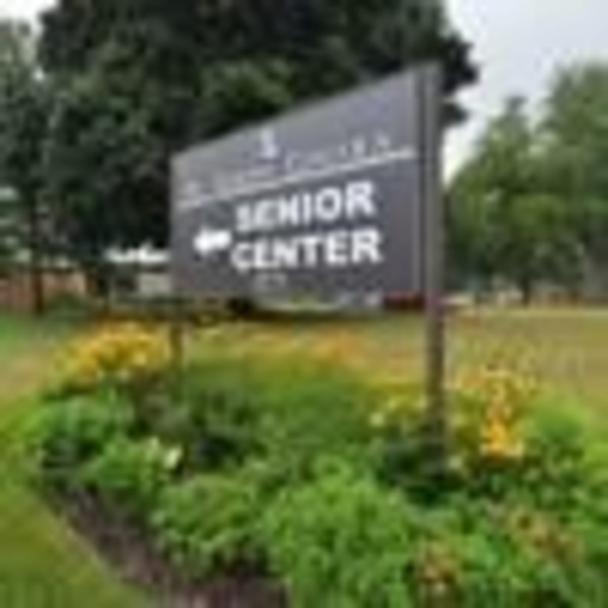 Michigan Launches Neighbor-Helping-Neighbor Program - Image 3