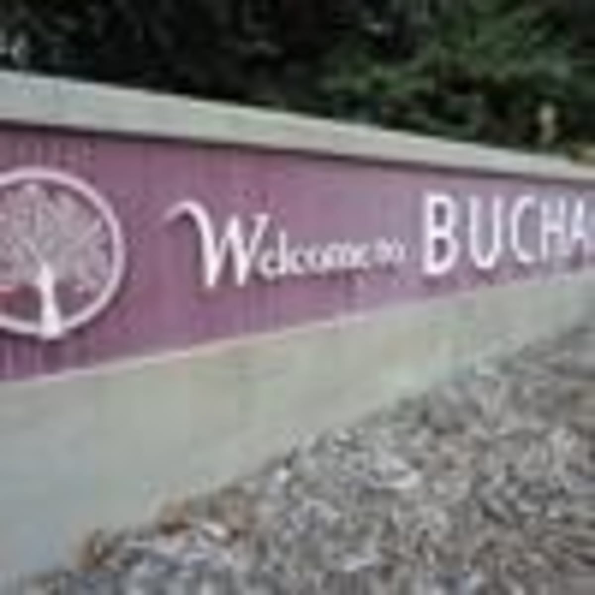 Buchanan Residents to Build Playground Together June 23-24 - Image 4