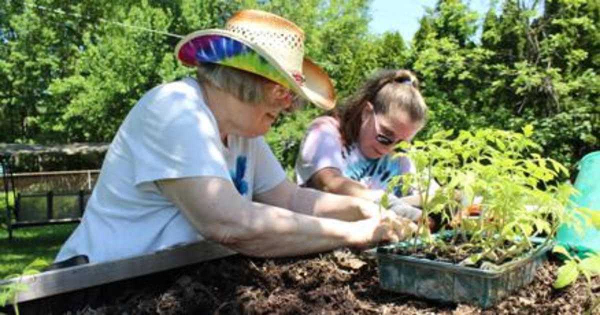 Michigan Launches Neighbor-Helping-Neighbor Program - Image 2