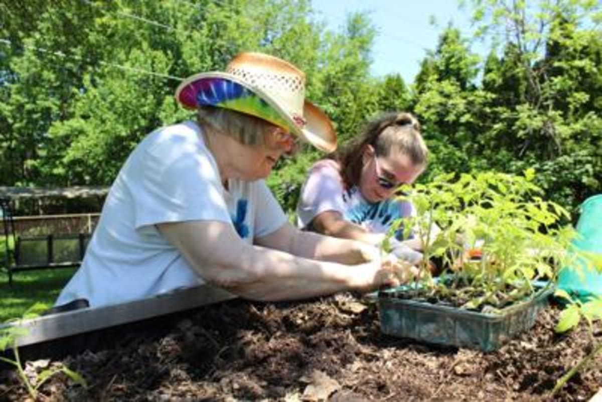 Michigan Launches Neighbor-Helping-Neighbor Program - Image 5