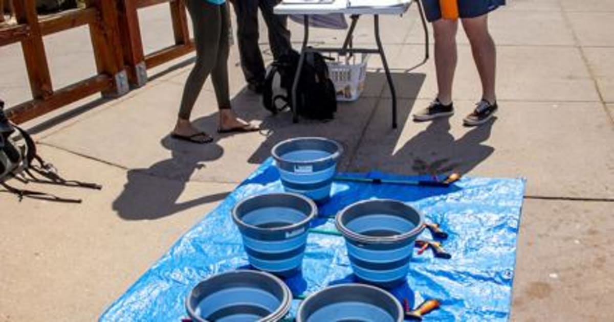 Laguna Beach Volunteers Cleanup Treasure Island Monthly - Image 2