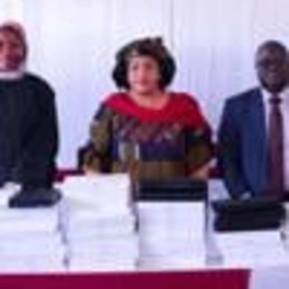 Son Honors Late Mom With Mental Health Charity in Liberia - Image 3