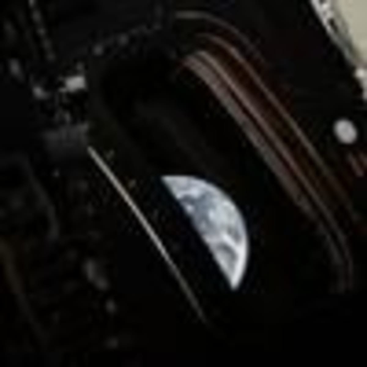 China Fossil Find Pushes Back Animal Evolution 4M Years - Image 3