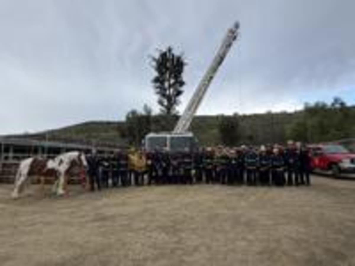 Orange County Firefighters Train With Horses for Rescues - Image 5