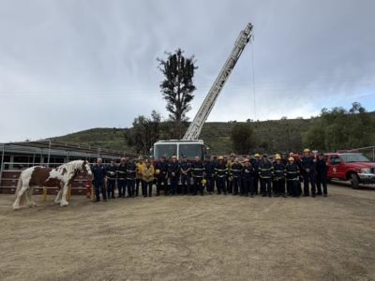Orange County Firefighters Train With Horses for Rescues - Image 4