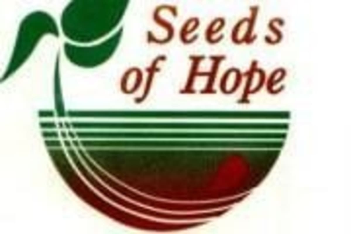 Casa Grande Fundraiser Raises $58K for Hungry Families - Image 4