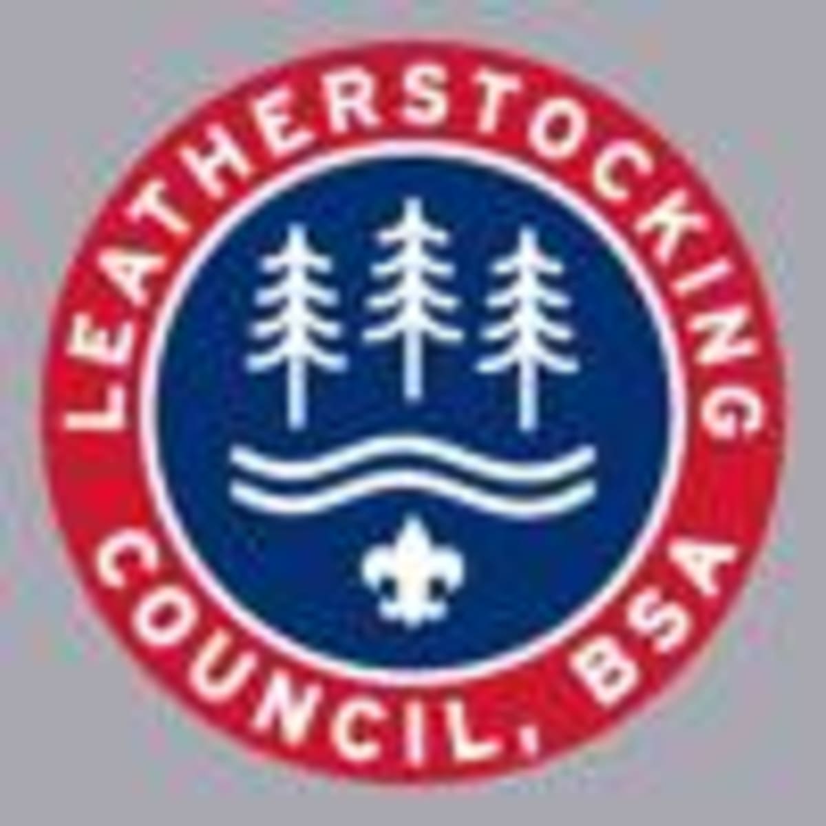 Utica Recycling Drive Fights Veteran Homelessness - Image 3