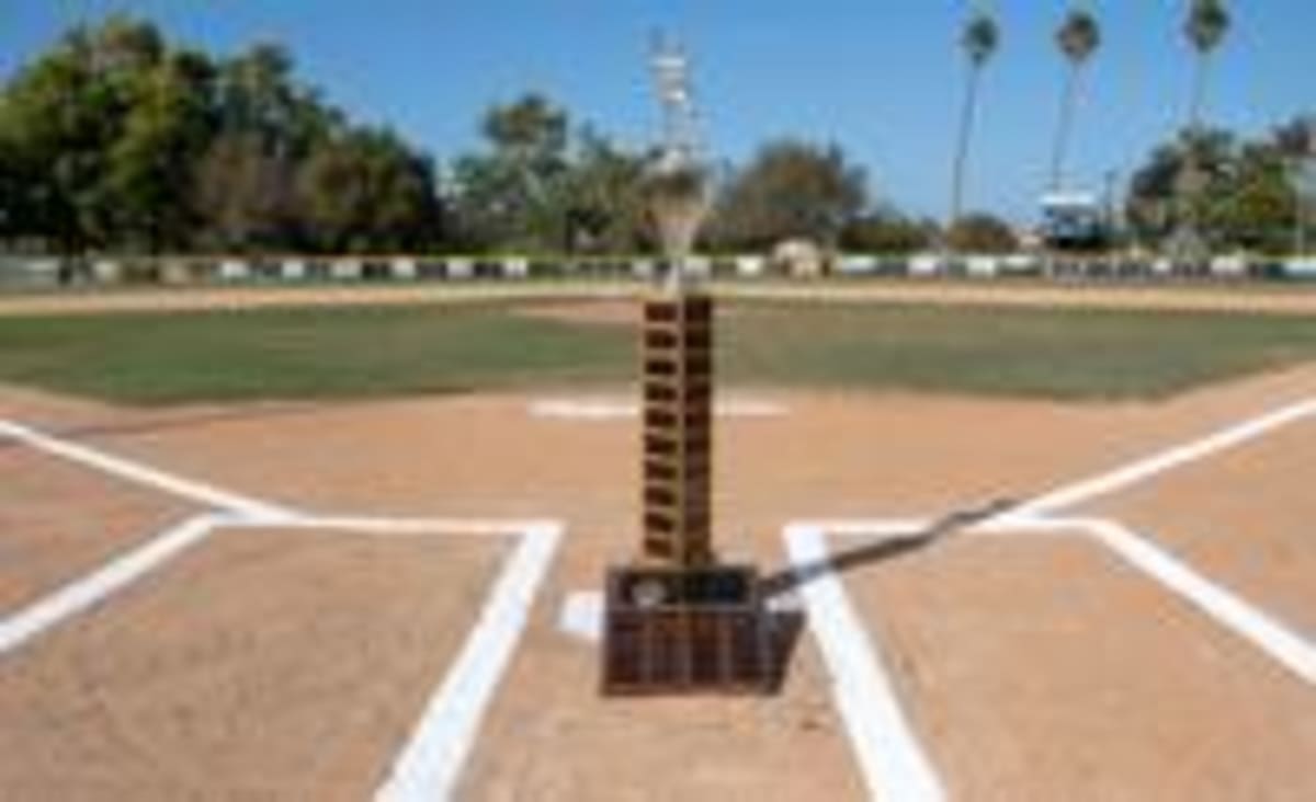 Little League Team Wins Championship on Walk-Off Double - Image 5