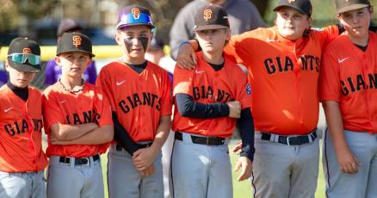 Little League Team Wins Championship on Walk-Off Double - Image 2