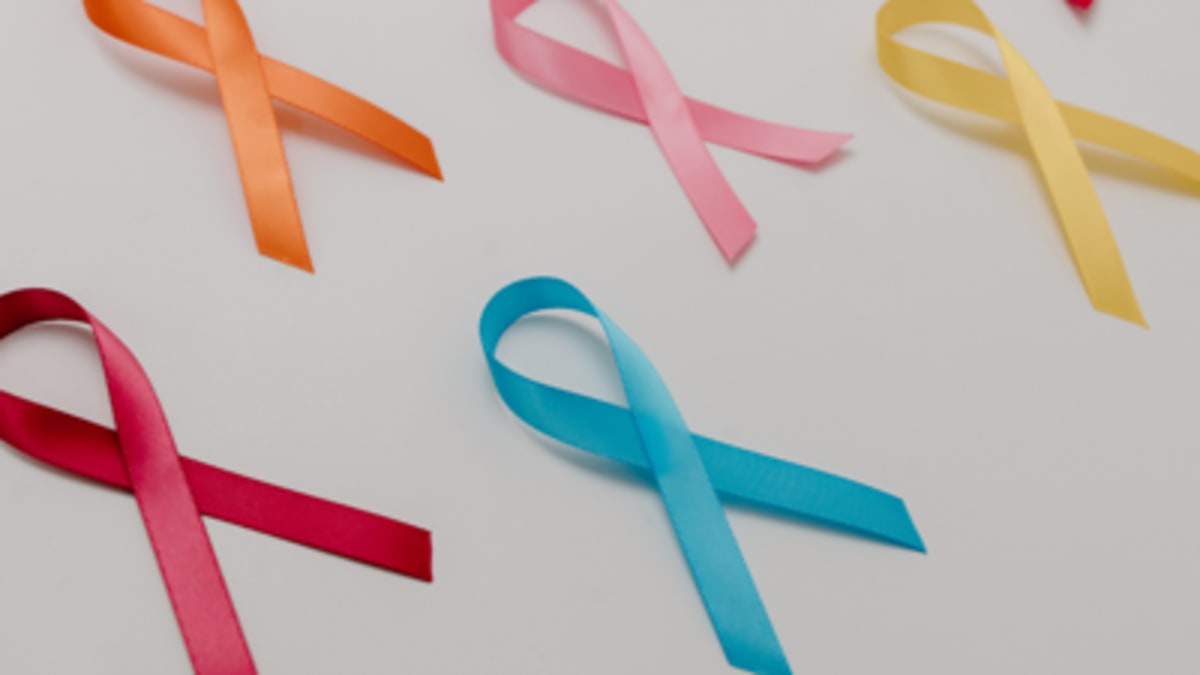 Lafayette Tea Honors Cancer Survivors with Music & Butterflies - Image 5