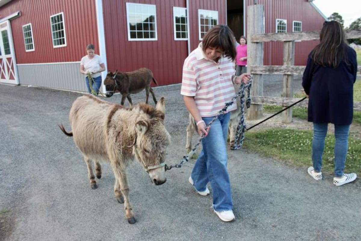 Cancer Survivors Find Healing Through Donkey Cuddling - Image 3