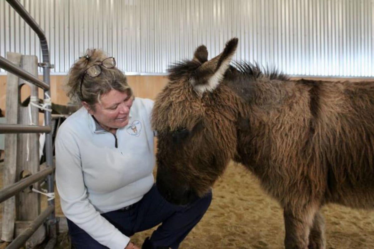 Cancer Survivors Find Healing Through Donkey Cuddling - Image 4
