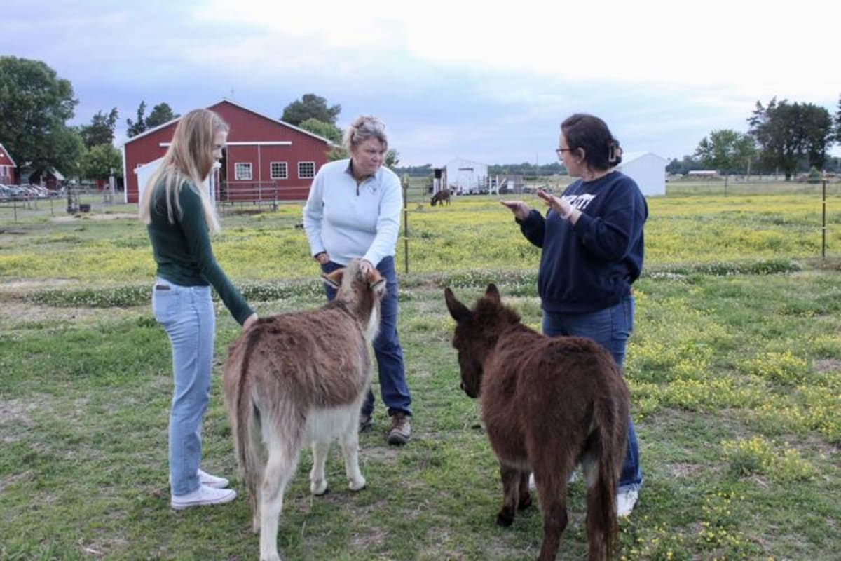 Cancer Survivors Find Healing Through Donkey Cuddling - Image 5