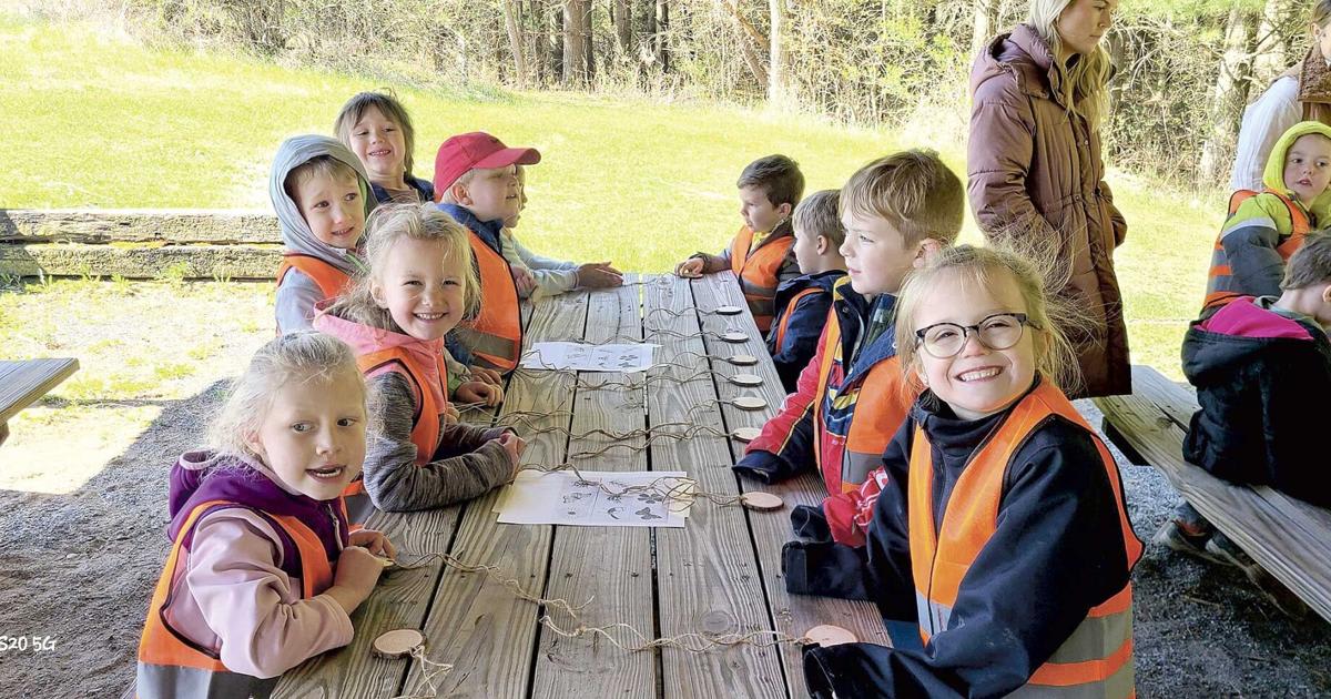 Elementary students wearing bright orange safety vests explore their school's forest classroom during outdoor learning time