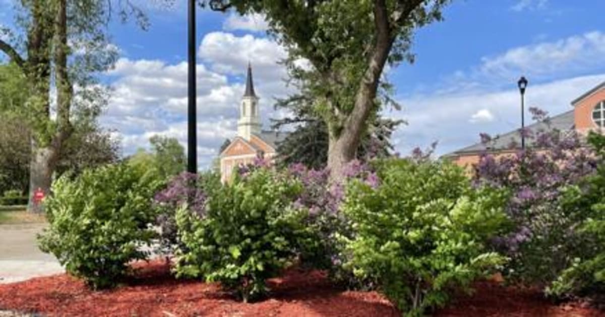 Hastings College Students Earn Top Music and Theater Honors - Image 2