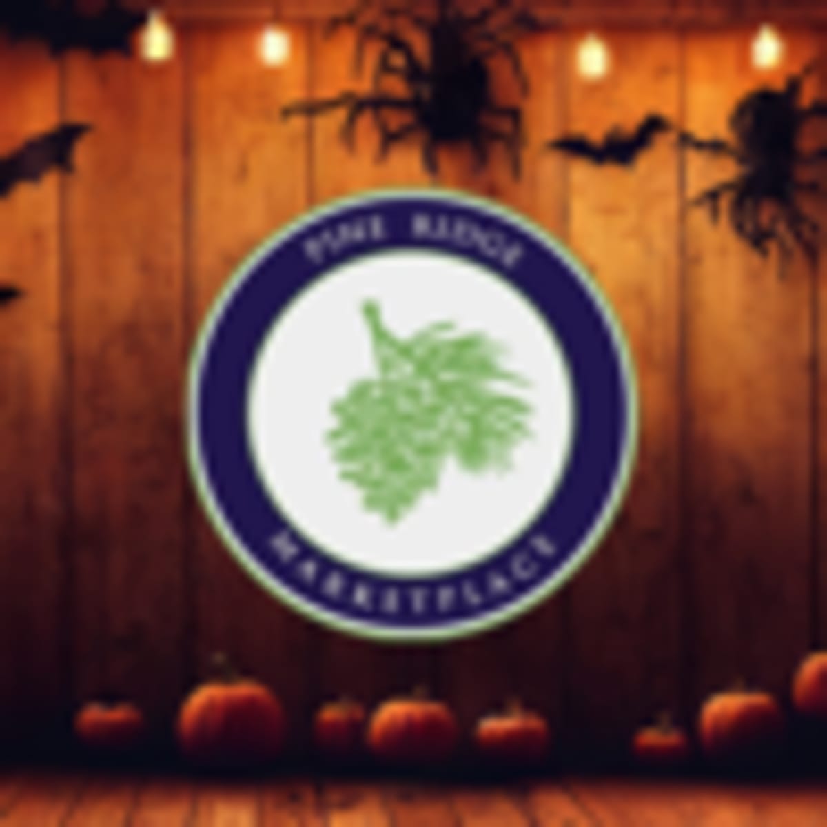 Sedona Plans Carbon-Neutral Future at Sept. 28 Event - Image 3